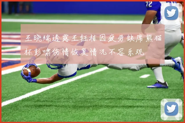 王晓瑞透露王钰栋因疲劳缺席熊猫杯彭啸伤情恢复情况不容乐观