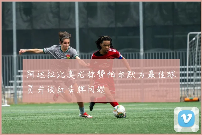 阿达拉比奥尤称赞帕尔默为最佳球员并谈红黄牌问题