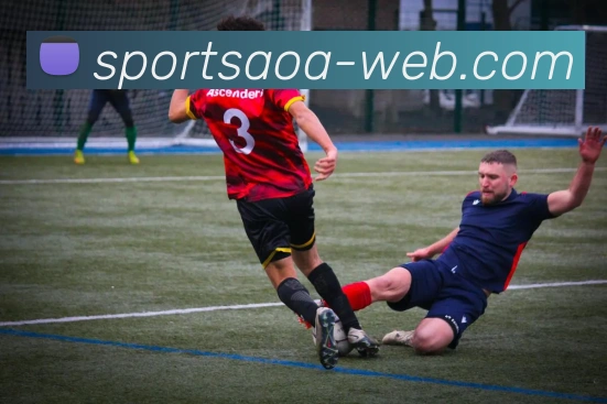 AOA体育发展历程